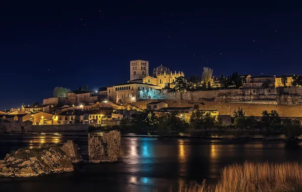 Picture the sky, stars, trees, night, lights, river, stones, shore