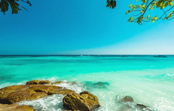 Picture sea, beach, trees, tropics, stones