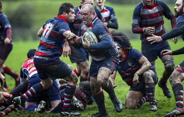 Picture sport, Rugby, Rugby player