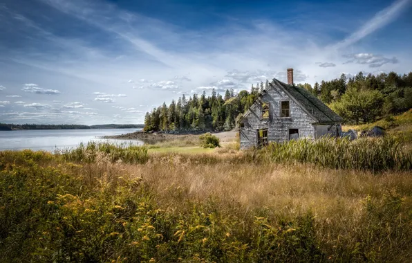 Autumn, nature, house, river, shore