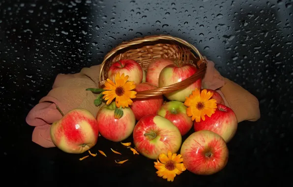 Flowers, nature, mood, apples, beauty, basket, beautiful, beautiful