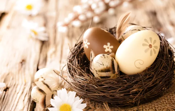 Chamomile, eggs, Easter, wood, flowers, eggs, easter, camomile