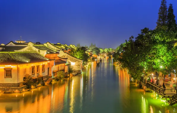 Trees, river, night lights, home, village, China