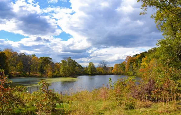 Autumn, the sky, clouds, trees, nature, lake, sky, trees