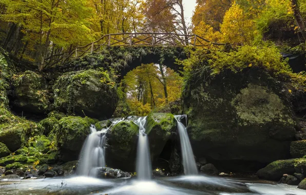 Autumn, forest, bridge, river, waterfall, cascade, Luxembourg, Luxembourg