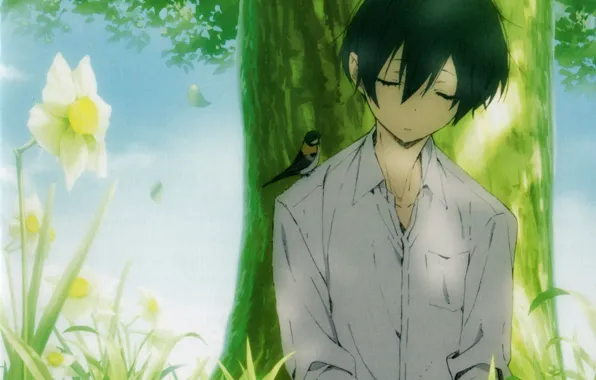 Summer, the sky, grass, sleep, guy, bird, daffodils, the trunk of the tree