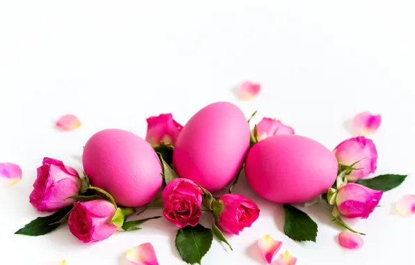 Picture flowers, holiday, roses, eggs, Easter, buds