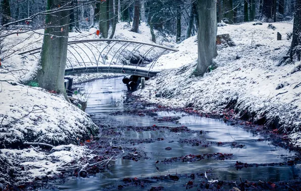 Picture Velp, Guelders, snow, Park, Netherlands