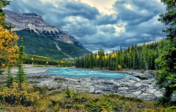 Forest, trees, mountains, river, Canada, Alberta, Canada, Jasper National Park