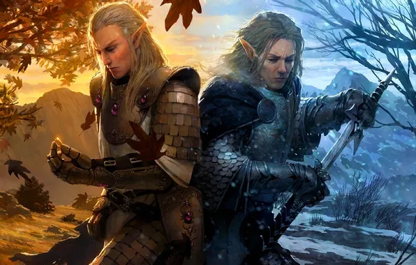 Picture winter, autumn, leaves, snow, sadness, sword, ring, art