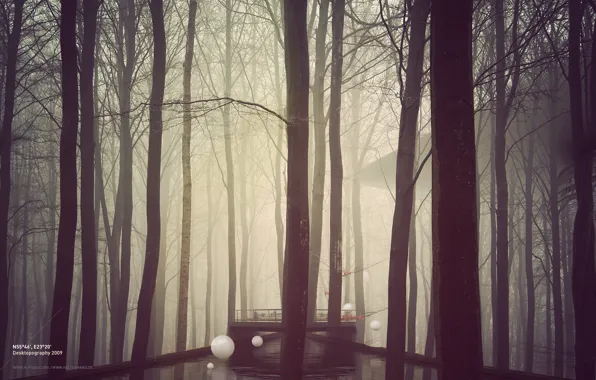 Picture forest, trees, bridge, fog, river, balls, construction, white
