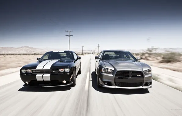 Road, race, srt, dodge, challenger