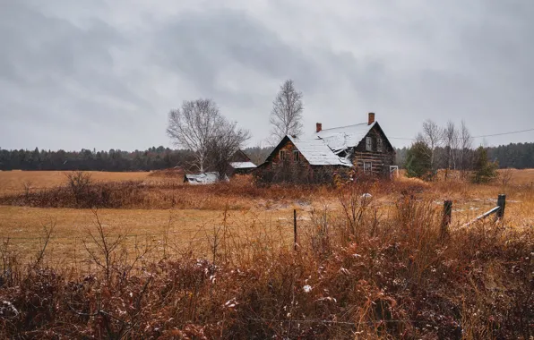 Winter, field, house