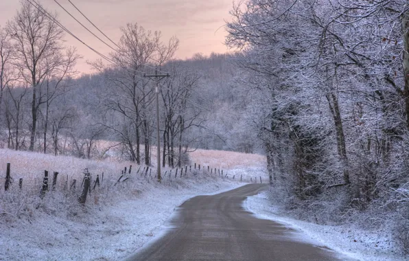 Picture winter, frost, road, light, snow, landscape, nature, color