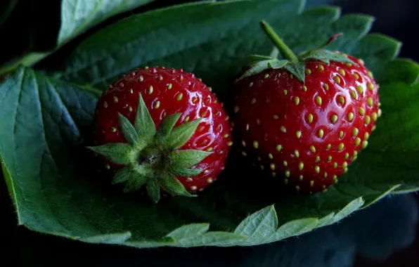 Red, berries, the dark background, two, Shine, leaf, food, strawberry