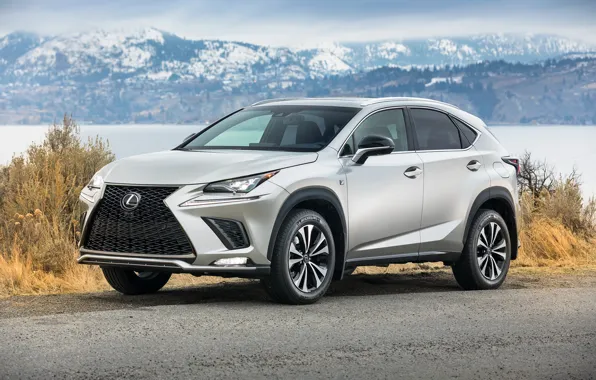 Road, mountains, Lexus, metallic, 300 F SPORT