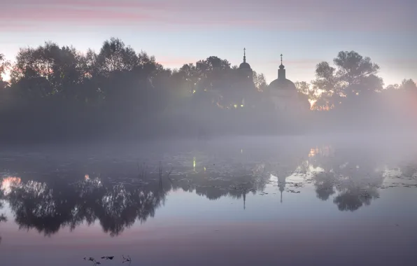 The sky, trees, branches, fog, reflection, dawn, ease, morning