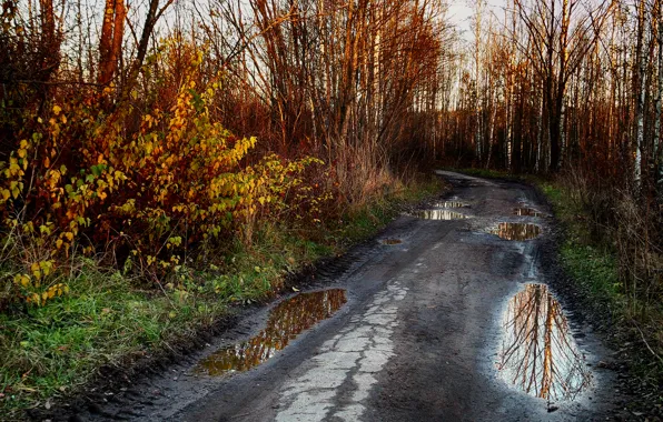 Road, autumn, reflection, puddles