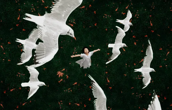 Autumn, dream, leaves, flight, birds, pose, rendering, glade