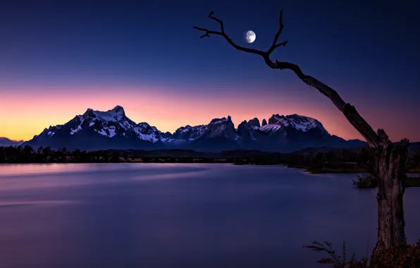 Mountains, night, lake, tree, the moon, Chile, Chile, Patagonia