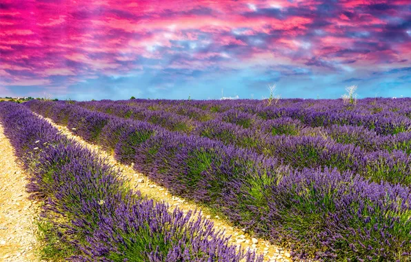Field, the sky, clouds, space, glow, lavender