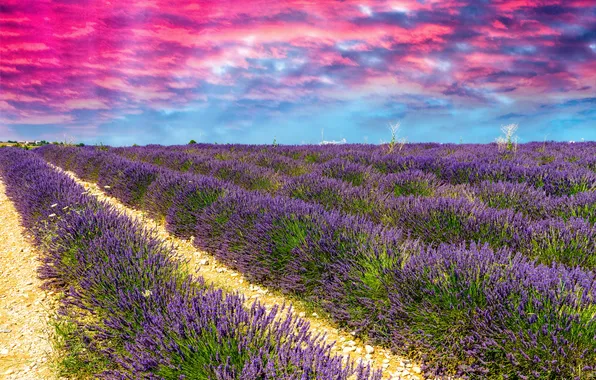 The sky, clouds, field, space, glow, lavender