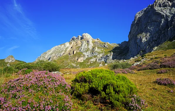 Mountains, rocks, Spain, Cantabria