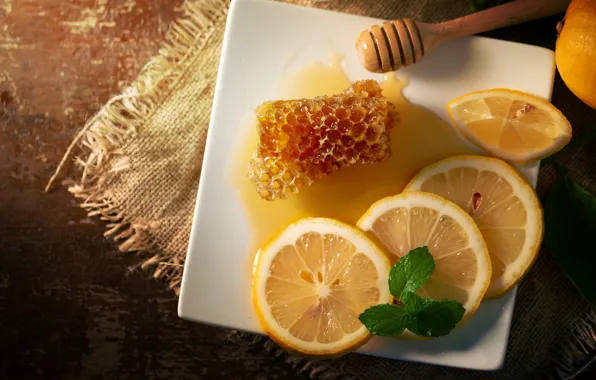 Light, Board, cell, plate, honey, mint, lemons, slices