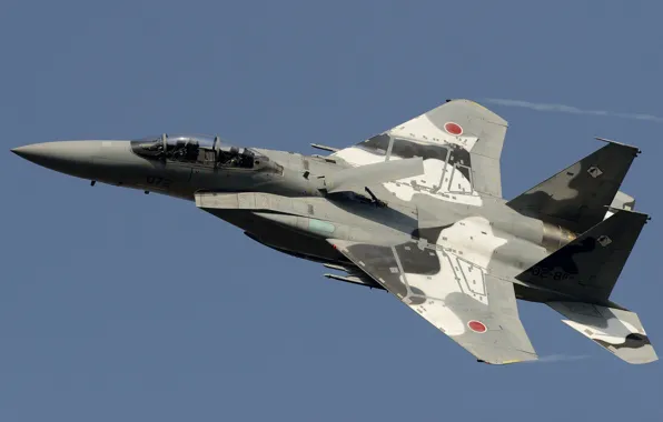 The sky, flight, fighter, Mitsubishi, pilots, BBC Japan, F-15DJ