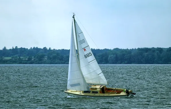 The sky, shore, yacht, sail