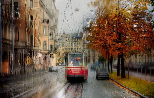 Rain, Saint Petersburg, tram