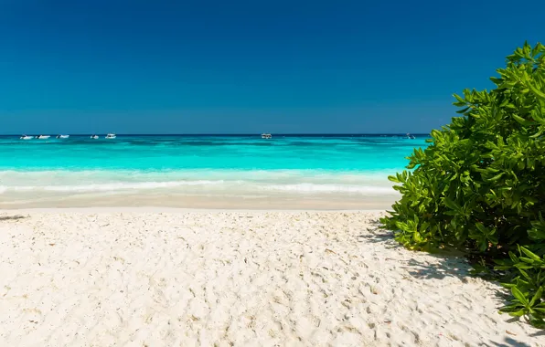 Sea, beach, summer, Tropics, blue water, bushes