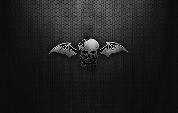 Picture mesh, black, wings, Skull