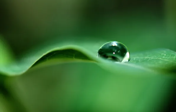 Sheet, green, drop