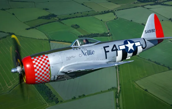 Thunderbolt, USAF, Fighter-bomber, The Second World War, P-47D Thunderbolt, P-47 Thunderbolt, Republic P-47D Thunderbolt
