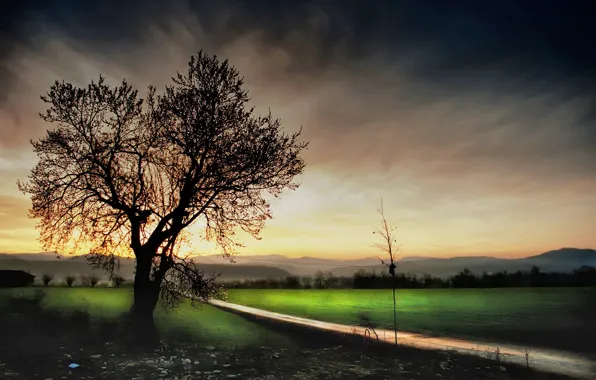 Road, field, autumn, landscape