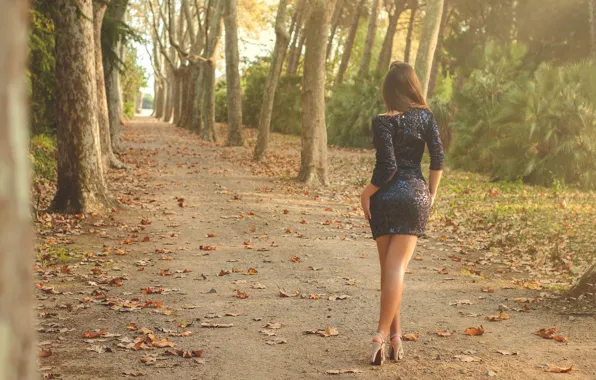 Road, autumn, trees, nature, pose, figure, dress, alley