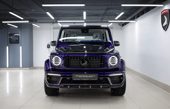Mercedes-Benz, Mercedes, Front, G-Class, Ball Wed, W463, 2020, G350d