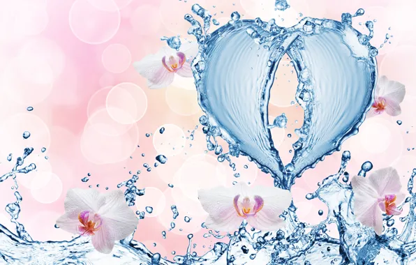 Water, drops, flowers, squirt, pattern, heart, orchids