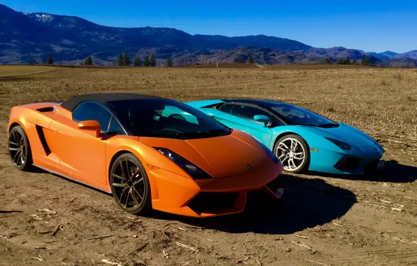 Field, the sky, mountains, nature, earth, Orange, Gallardo, lamborghini