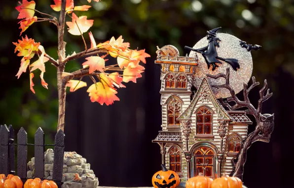 Picture autumn, leaves, macro, flight, house, the dark background, stones, tree