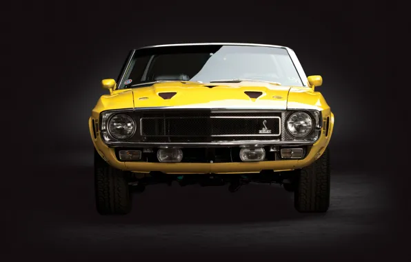 Shelby, Classic, Cobra, Sports