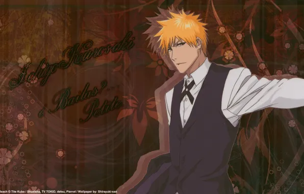 Guy, Bleach, Bleach, Ichigo Kurosaki