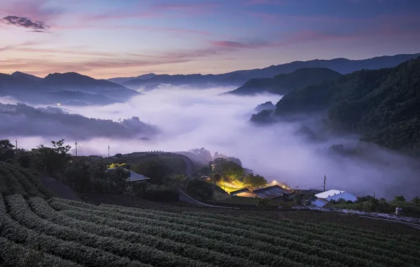 Field, the sky, mountains, lights, view, Asia, houses, twilight