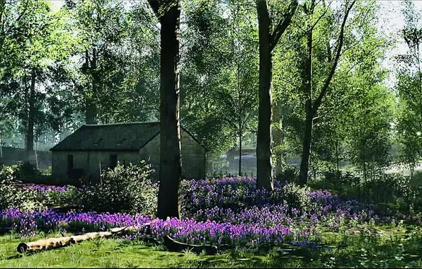 HDR, House, Wood, Flower, Spring, Game, Sunshine, Trees