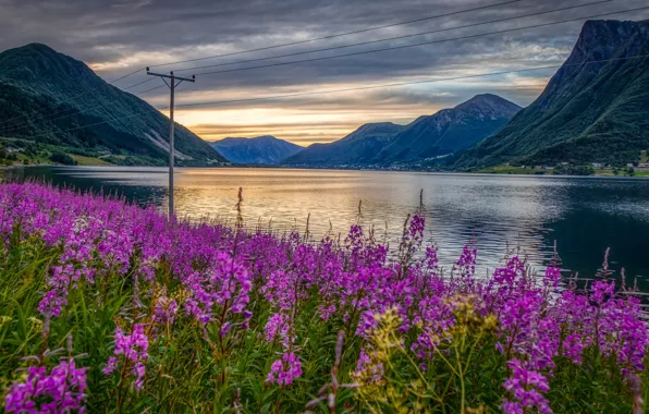 The sky, clouds, flowers, mountains, river, shore, wire, the slopes