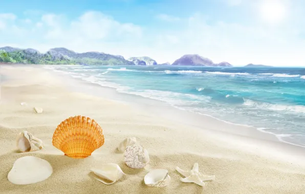 Beach, sea, sand, seashells