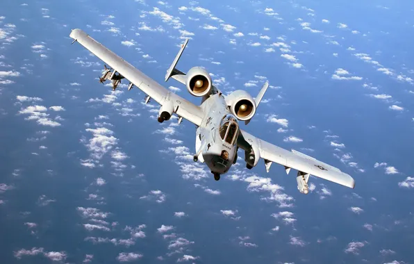 Flight, attack, American, A-10, Thunderbolt II, single, armored, twin-engine