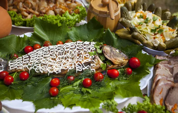 Fish, tomatoes, cucumbers, meals, cuts