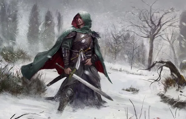 Winter, forest, snow, people, sword, armor, art, cloak